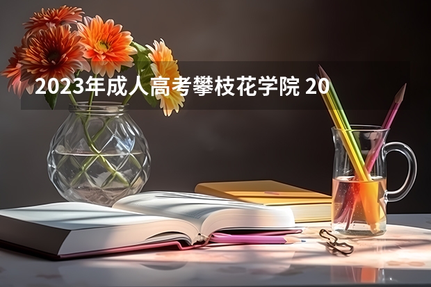 2023年成人高考攀枝花学院 2023年攀枝花学院录取线是多少