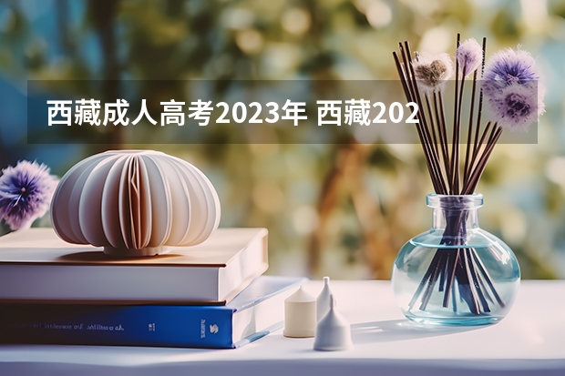 西藏成人高考2023年 西藏2023年成人本科报名入口 成考网址是什么？