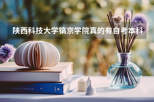 陕西科技大学镐京学院真的有自考本科吗？