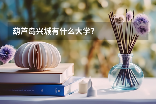 葫芦岛兴城有什么大学?