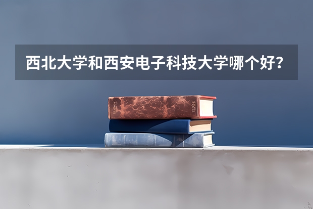 西北大学和西安电子科技大学哪个好？