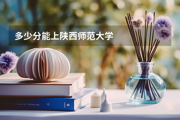 多少分能上陕西师范大学