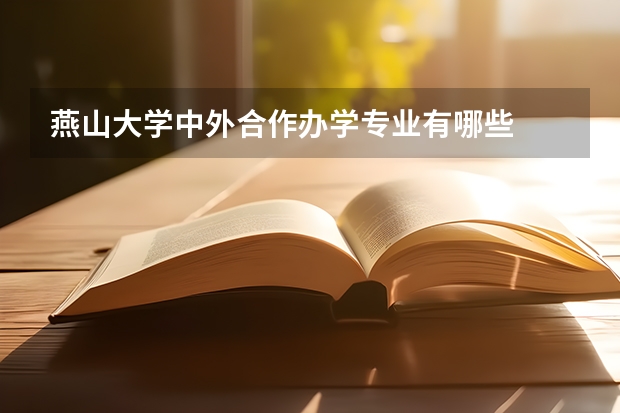 燕山大学中外合作办学专业有哪些