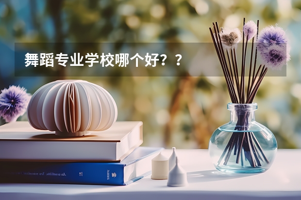 舞蹈专业学校哪个好？？