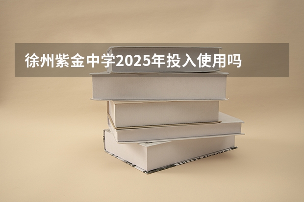 徐州紫金中学2025年投入使用吗