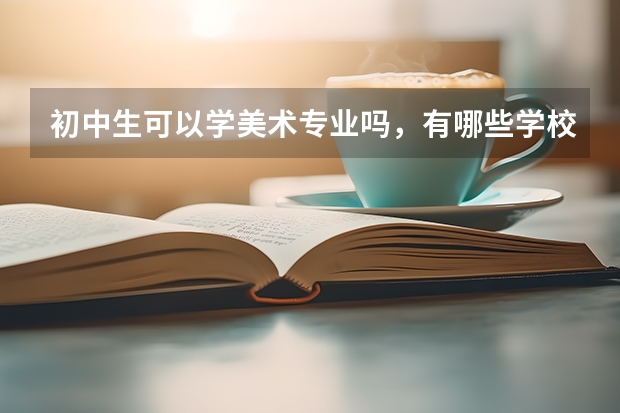 初中生可以学美术专业吗，有哪些学校？