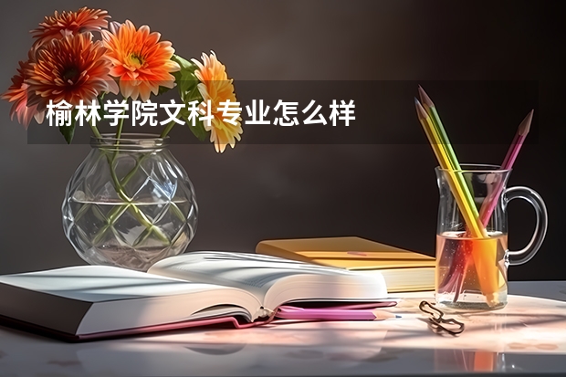 榆林学院文科专业怎么样