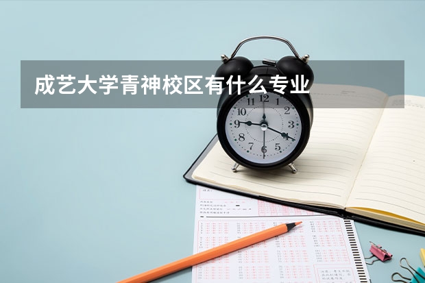 成艺大学青神校区有什么专业