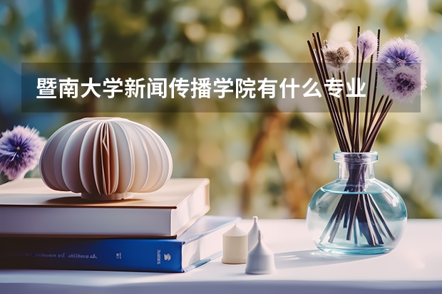 暨南大学新闻传播学院有什么专业