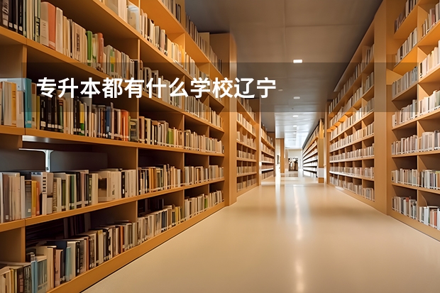 专升本都有什么学校辽宁