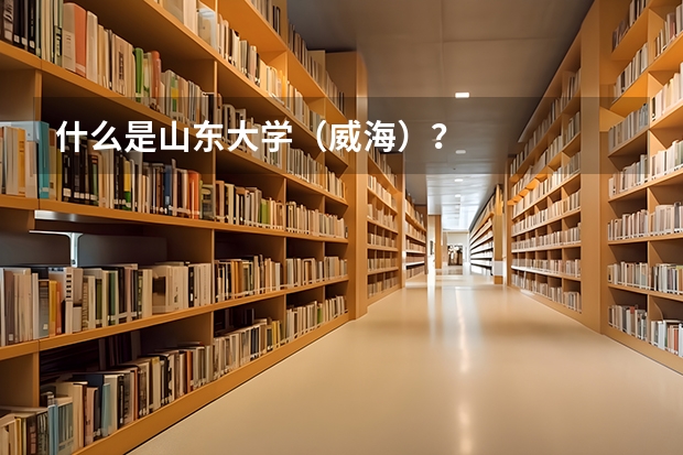 什么是山东大学（威海）？