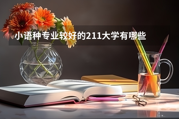 小语种专业较好的211大学有哪些