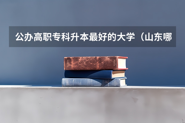 公办高职专科升本最好的大学（山东哪所学校专升本率高）