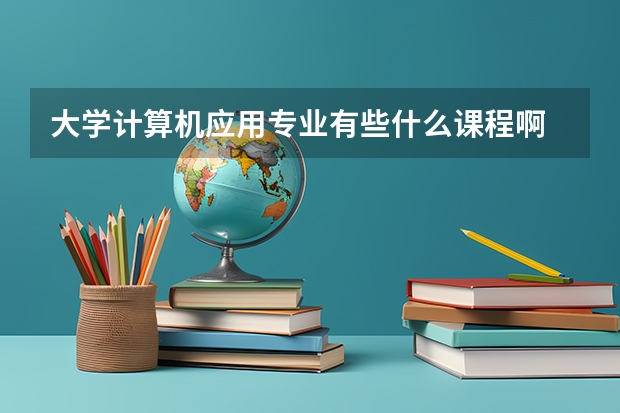 大学计算机应用专业有些什么课程啊