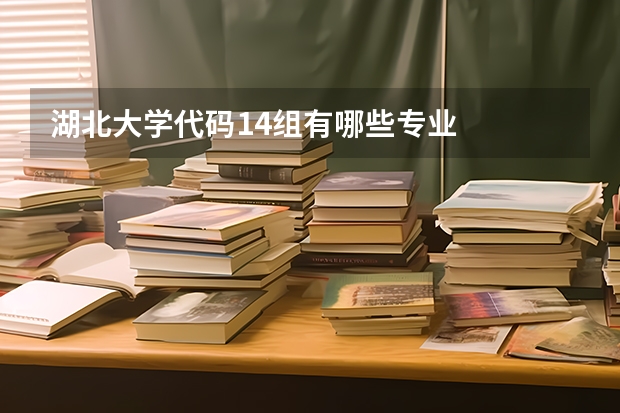 湖北大学代码14组有哪些专业