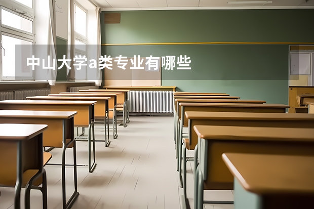 中山大学a类专业有哪些