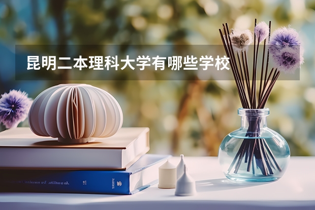 昆明二本理科大学有哪些学校